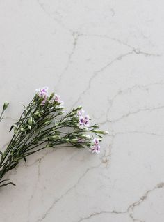 some flowers that are sitting on a table top with white and gray marbled surface