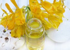 The-Best-Substitutes-for-Canola-Oil,-and-How-to-Use-Them Honeysuckle Essential Oil, Jojoba Oil Benefits, Massage Envy, Cypress Essential Oil, Jasmine Oil, Unique Fragrance, Skin Care Treatments, Carrier Oils