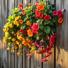 colorful flowers hanging from the side of a wooden fence