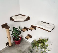 a room with some shelves and plants on the floor next to a plant potted in a red flowerpot