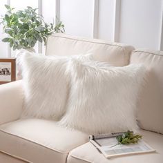 two white pillows sitting on top of a couch next to a potted plant