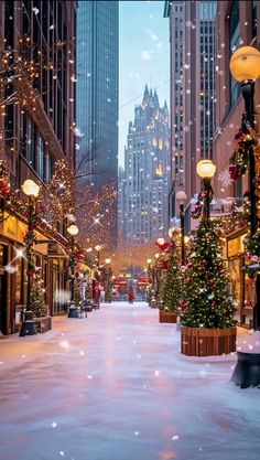 a snowy city street with christmas lights and trees on the sidewalks in front of tall buildings