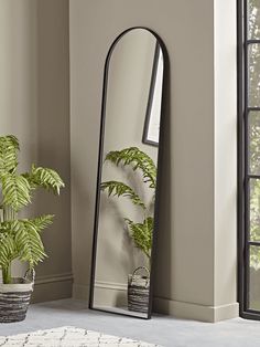 a large mirror sitting on top of a floor next to a potted green plant