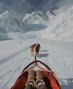 two sled dogs pulling a person on a sled