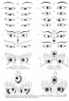 an image of different types of eyes and their features, including the eyeballs