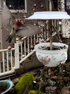 a bird is flying over a potted plant in front of a white porch railing