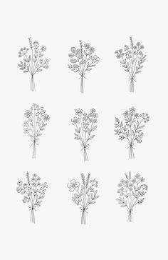 six different types of flowers are shown in black and white on a light gray background