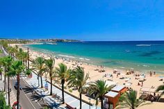 a beach with palm trees and people on the sand, in front of clear blue water