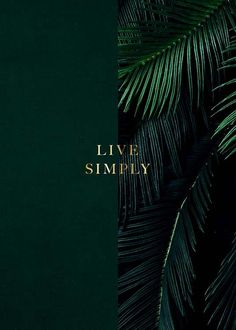 the words go wild for a while written in gold on a dark green background with palm leaves