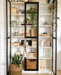 an open bookcase with plants and other items in it