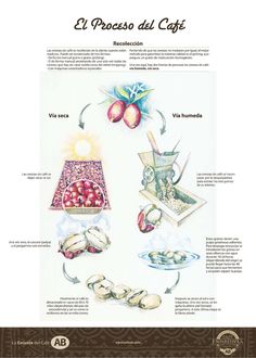 a poster with different types of food on it