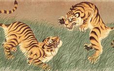 two tiger cubs playing in the grass with one cub looking at it's mouth