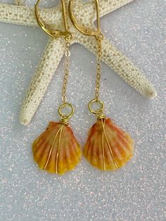 Hawaiian sunrise sea shell gold plated wire wrapped wire dangling earrings with gold filled delicate chains and 14k gold plated ear clasps. The gold plated wire is tarnish resistant and nickel and lead free. These beautiful and delicate sunrise shells were hand picked from the beaches of Hawaii. These will make a precious keepsake gift for someone special! This exact pair has been sold but a pair can be made that is just as beautiful. Gold 14k Gold Filled Earrings For Beach, Elegant Shell-shaped Jewelry With Ear Wire, Ocean-inspired Shell Earrings With Ear Wire, Ocean-inspired Shell Jewelry Wire Wrapped, Vacation Shell-shaped Earrings With Ear Wire, Gold Shell-shaped Earrings With Ear Wire, Seashell Earrings, Pierced Jewelry, Jewelry Boards