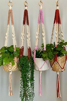 several hanging planters with plants in them on a white wall next to a potted plant