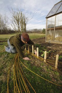 a man kneeling down in the grass next to a fence with plants growing out of it