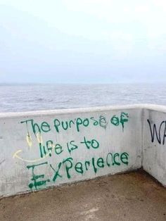 graffiti written on the side of a concrete wall next to the ocean with words that read, the purpose of life is to experience