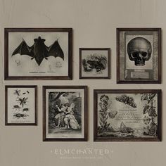 a group of framed pictures hanging on the side of a wall next to a skull