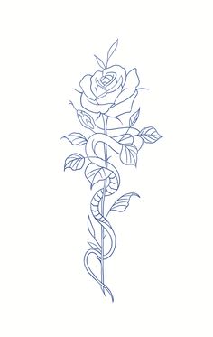 a drawing of a rose on a white background