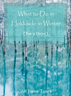 what to do in hokkado in winter for 9 days