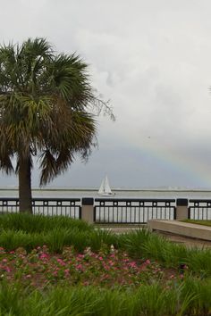 there is a rainbow in the sky over the water and palm trees on the beach