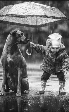 a little boy holding an umbrella next to a dog