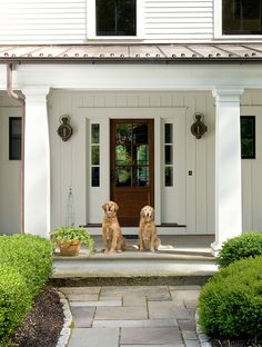 two dogs sitting on the front steps of a house with bushes and shrubs around them