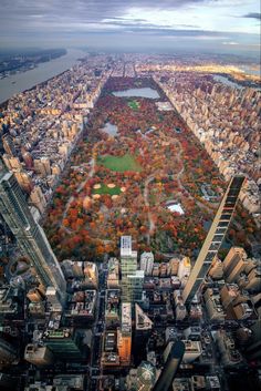 an aerial view of the central park in new york city, with autumn foliage on the ground