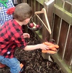 a little boy that is holding some carrots in his hand and standing next to a fence