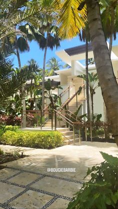 an outdoor area with palm trees and stairs