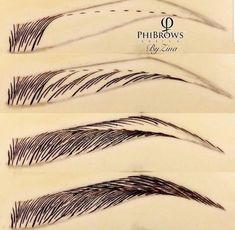 four different types of long eyelashes are shown