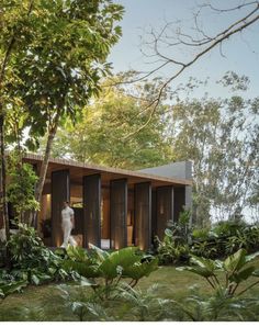 the house is surrounded by lush vegetation and trees