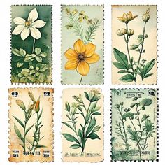 four postage stamps with flowers and leaves painted on them, all in different shades of yellow