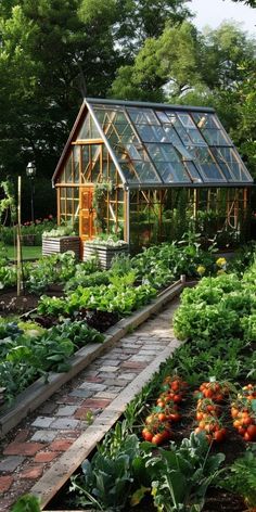 a garden filled with lots of green plants next to a small house on top of a hill