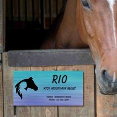 a brown horse sticking its head out of a stable door with a blue and white sign on it