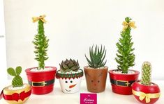 there are many potted plants with decorations on them