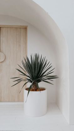 a potted plant sitting on top of a white shelf next to a wooden door