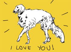 a drawing of a dog with the words i love you written in black ink on a yellow background