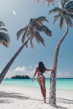 a woman standing on top of a sandy beach next to palm trees and the ocean