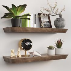 two wooden shelves with plants and other items on them, one shelf has a clock