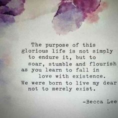 the purpose of this glorious life is not simply to ensure it, but to soar, stumble and flourish as you learn to fall in love with excitement