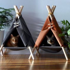 two cats are sitting in their teepees on the floor next to each other