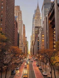 a city street filled with lots of tall buildings next to trees and parked cars on the side of the road