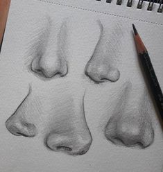 a pencil drawing of four different nose shapes