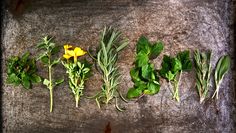 various herbs are arranged on a stone surface