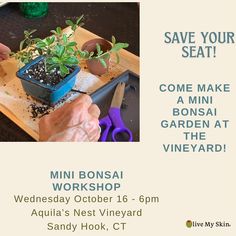 a poster for a workshop on how to make mini bonsai garden at the vineyard