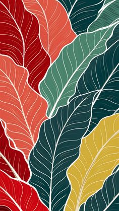 an image of colorful leaves on a white background