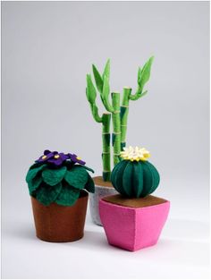 three potted plants sitting next to each other