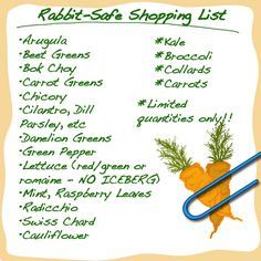 a recipe card with carrots and other vegetables on it, including the title rabbit - sat shopping list