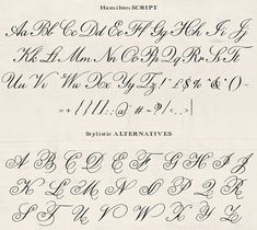 an old fashioned script with cursive writing and numbers on the upper half of it