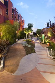 the walkway is lined with plants and trees